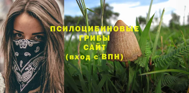 даркнет сайт  Бугульма  Псилоцибиновые грибы Magic Shrooms 